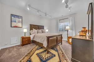 Bedroom featuring rail lighting and carpet flooring