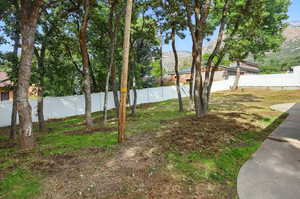 Fenced backyard featuring a mountain view