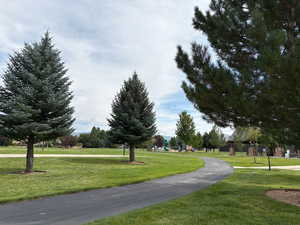 View of community with a lawn