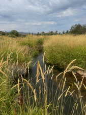 View of undeveloped land with rural landscape