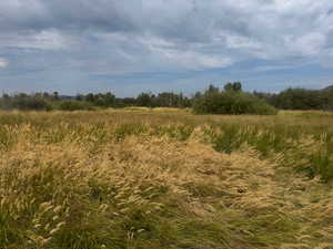 View of undeveloped land featuring rural landscape