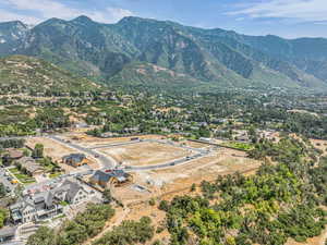 View of mountain background