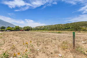 View of yard featuring a view of rural / pastoral area and a mountain view