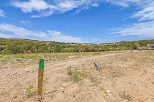 View of street with a view of rural / pastoral area