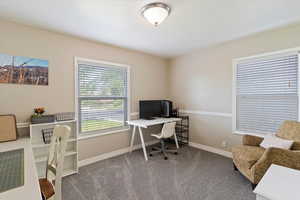 Bedroom or Office space featuring New carpet and baseboards