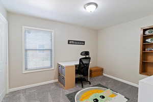 Bedroom or Home office featuring  New carpet