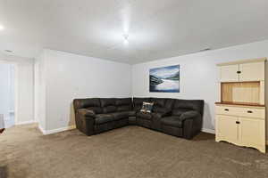 Basement Family Room