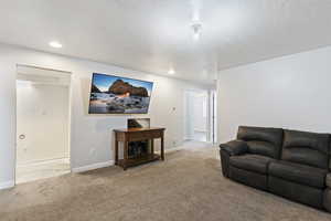 Basement Family Room