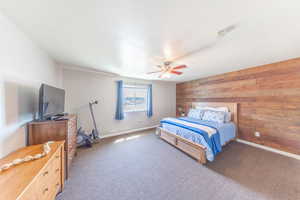 Wood accent wall. Walk in Closet. Large room and beautiful views of mountain.