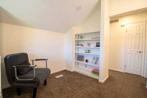 Living area with lofted ceiling, dark colored carpet, and a textured ceiling