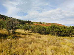 View of wooded area featuring a view of countryside