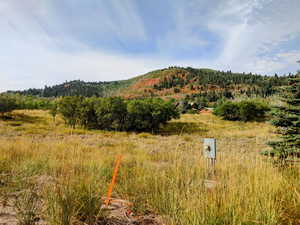 View of mountain background with a forest and rural landscape