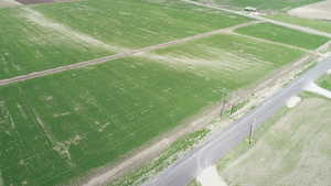 Overview of rural landscape featuring rows of crops