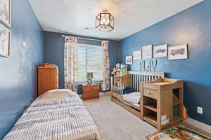 Bedroom with a textured wall, carpet floors, and a textured ceiling