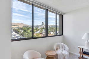 Living area featuring a mountain view, and carpet floors