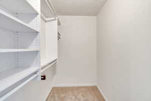 Spacious closet with light carpet
