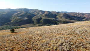 View of mountain background