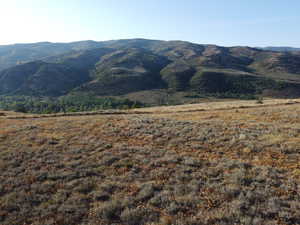 View of mountain background