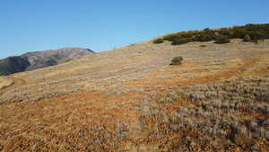View of mountain background