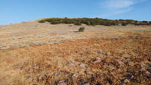 View of nature with rural landscape