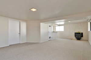 Basement Family Room