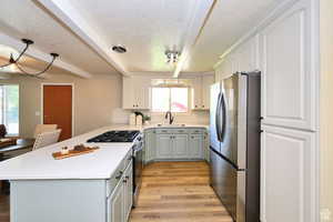 New Stainless Appliances