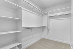 Spacious closet featuring light colored carpet