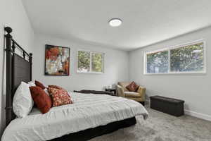 Bedroom with carpet floors and baseboards