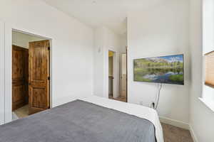 Bedroom featuring carpet and connected bathroom