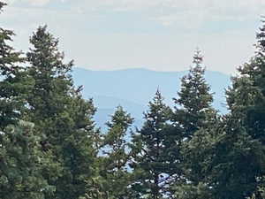 Mountain view featuring a forest