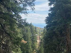 View of mountain background with a heavily wooded area