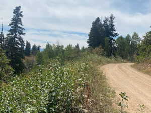 View of dirt / gravel road