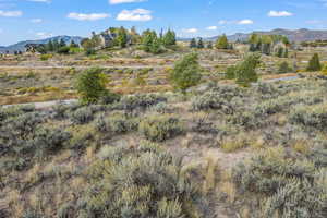 View of undeveloped land featuring a mountain backdrop
