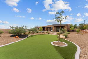 View of yard with a putting green and a patio