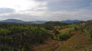 View of mountain background with a forest
