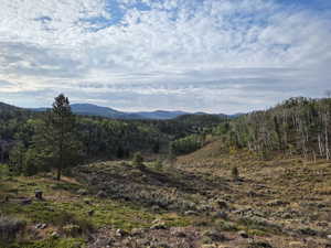 View of mountain backdrop featuring a heavily wooded area