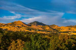 View of mountain background featuring a forest