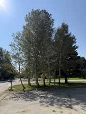 View of home's community