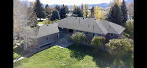 Bird's eye view of a tree filled landscape
