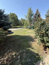 View of green lawn with a playground