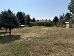 View of green lawn featuring a storage unit