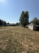 View of green lawn featuring a storage shed