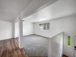 Basement featuring dark wood-style floors and dark carpet
