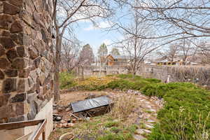 View of yard featuring a patio