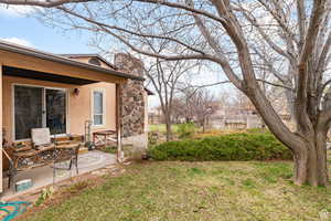View of yard with a patio