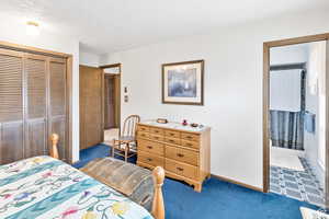 Bedroom with carpet flooring and a closet