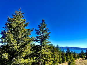 View of mountain background
