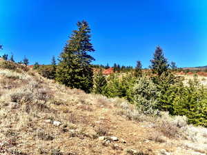 View of undeveloped land