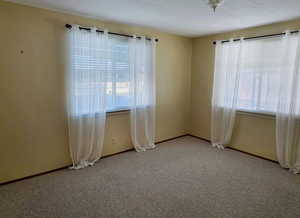 Spare room with healthy amount of natural light and carpet floors
