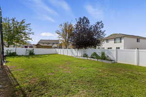View of fenced backyard